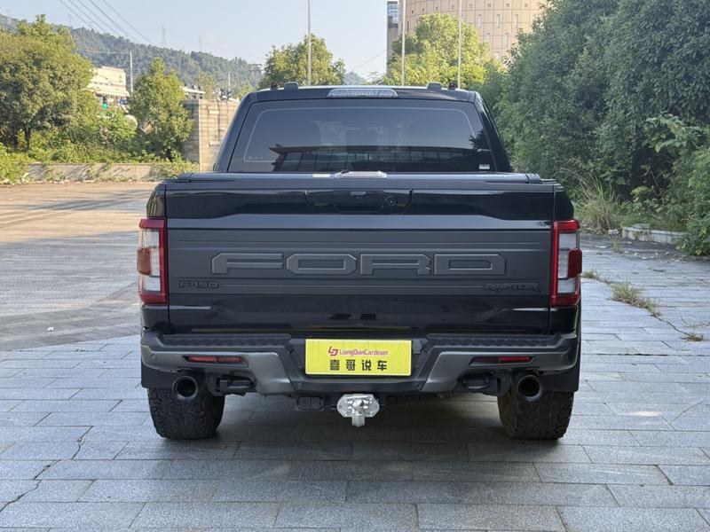 Ford F-150 Raptor - фото 3