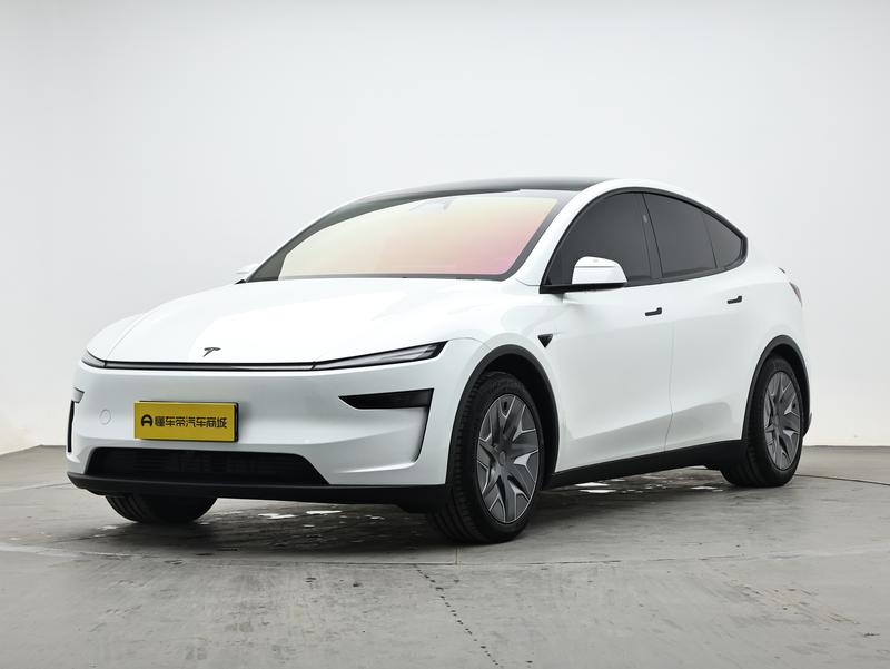 Tesla Model Y L - фото 0
