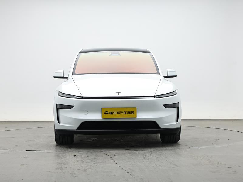 Tesla Model Y L - фото 1