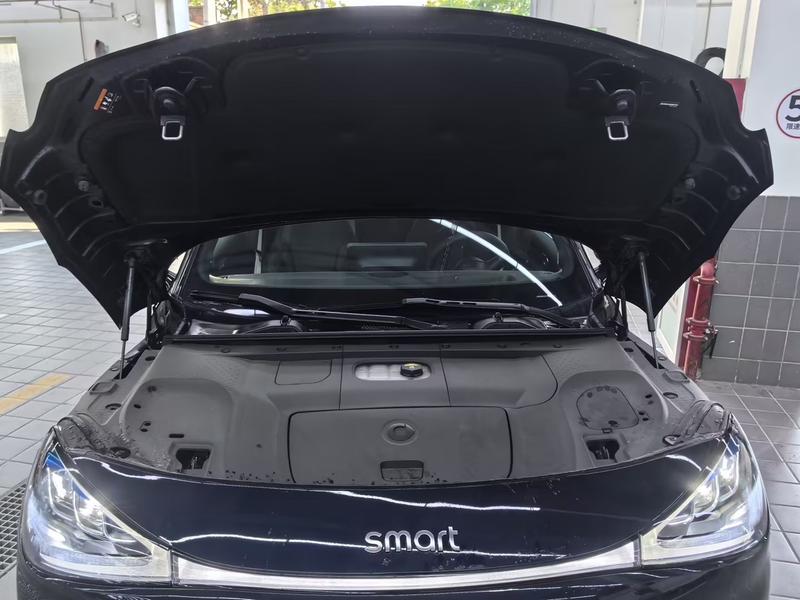 Smart #1 - фото 2