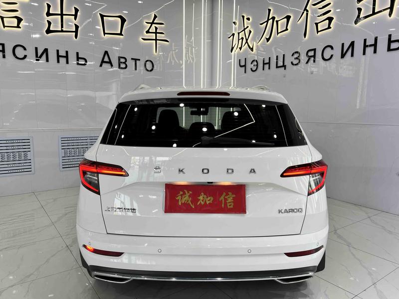 Skoda Karoq - фото 4