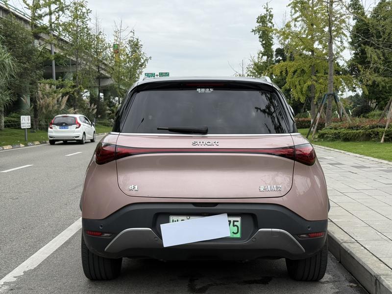 Smart #1 - фото 4