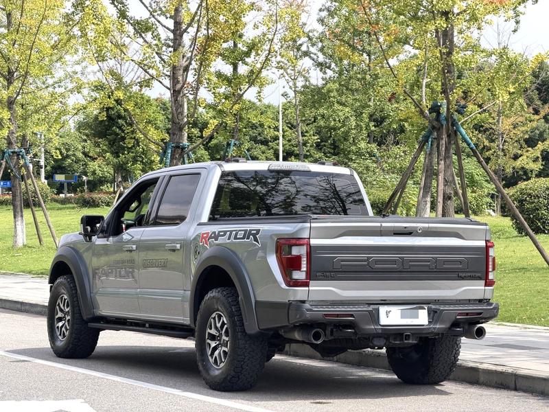 Ford F-150 Raptor - фото 3