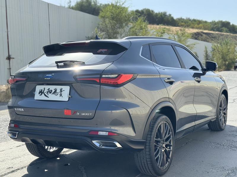 Changan Oshan X5 - фото 4