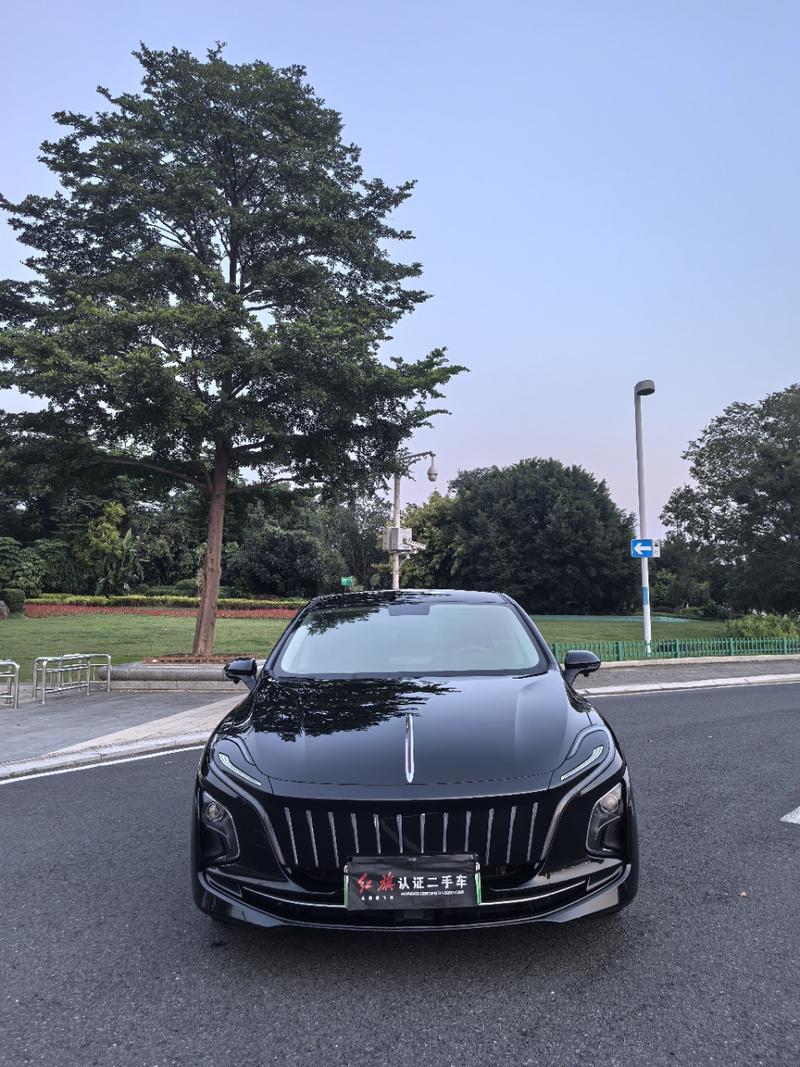 Hongqi E-QM5 - фото 1