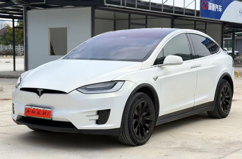Tesla Model X - фото 0