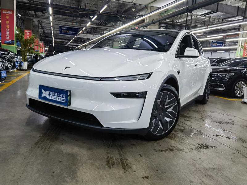 Tesla Model Y L - фото 0