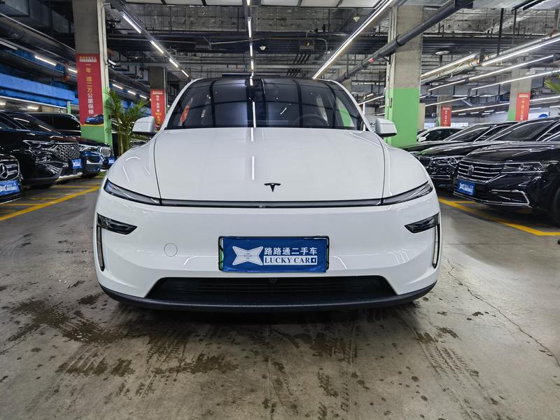 Tesla Model Y L - фото 1