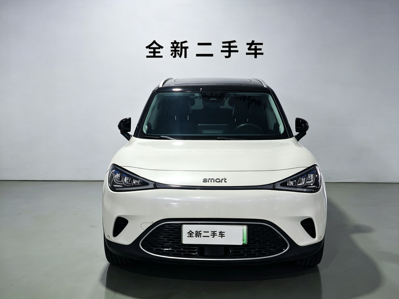 Smart #1 - фото 1
