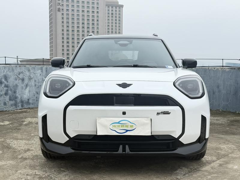 MINI ACEMAN - фото 1