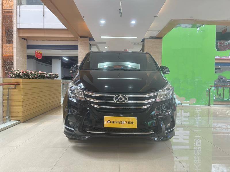 Maxus G10 - фото 1