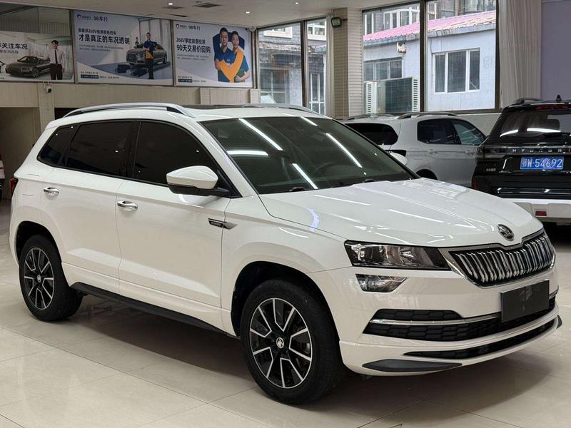 Skoda Karoq - фото 2