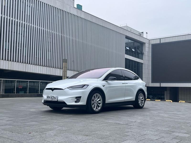 Tesla Model X - фото 0