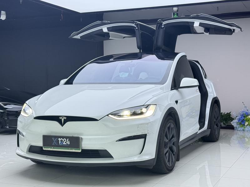 Tesla Model X - фото 0