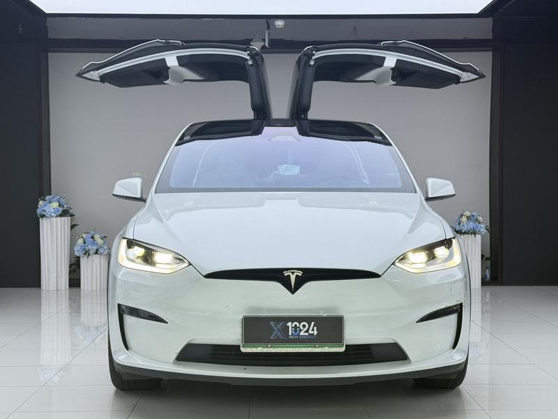 Tesla Model X - фото 1