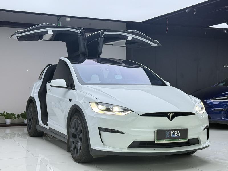 Tesla Model X - фото 2