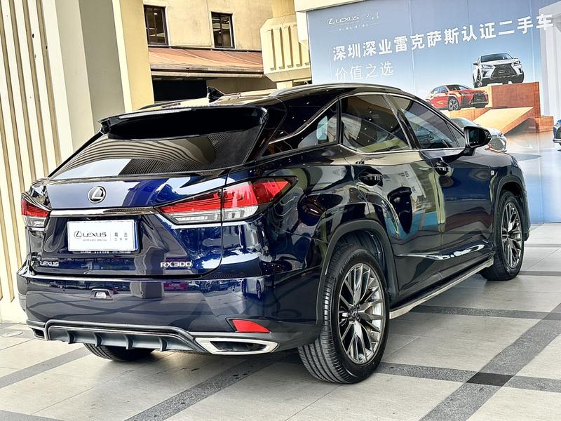 Lexus RX - фото 3