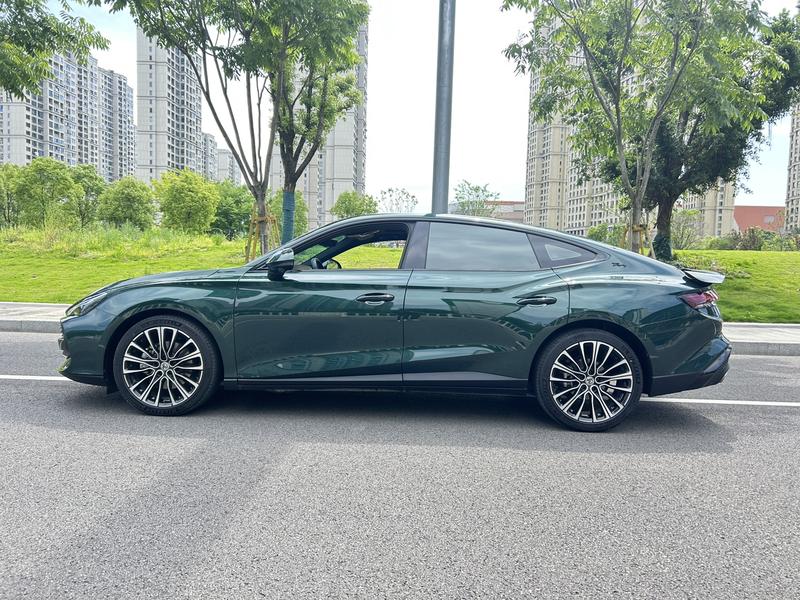MG 7 - фото 3