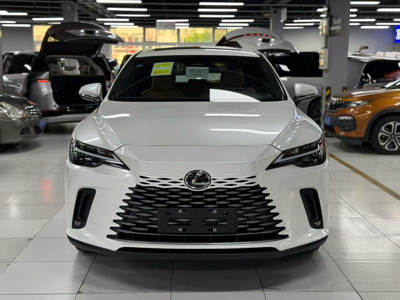 Lexus RX - фото 1