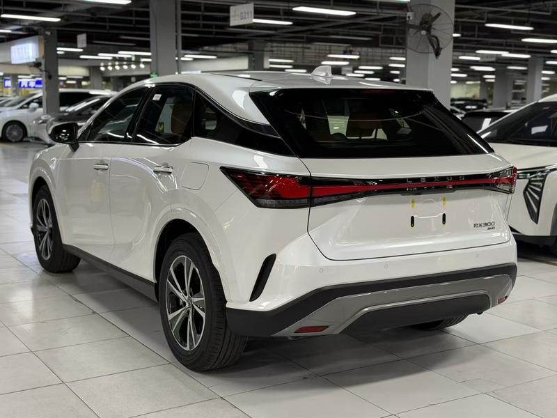 Lexus RX - фото 3