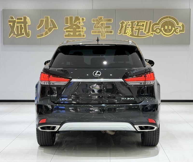Lexus RX - фото 4