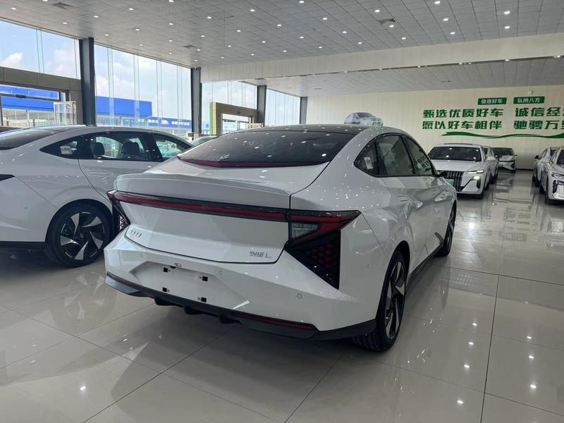 Lingxi L - фото 4