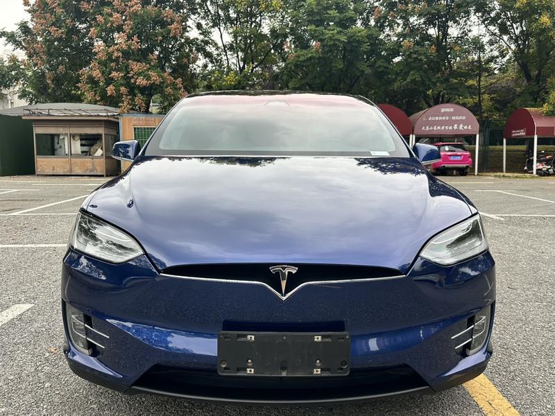 Tesla Model X - фото 1