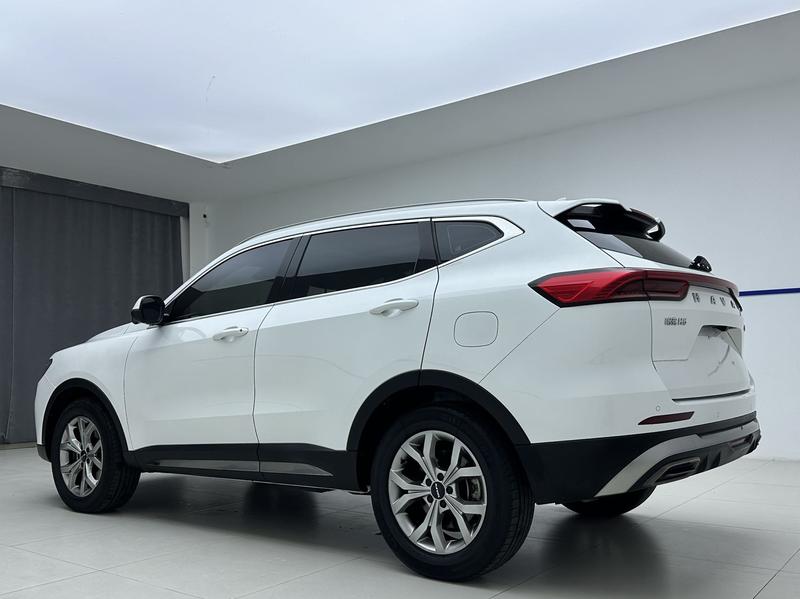 Haval H6 - фото 3