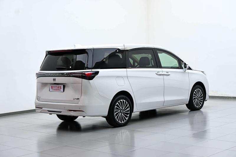 Buick GL8 PHEV - фото 2