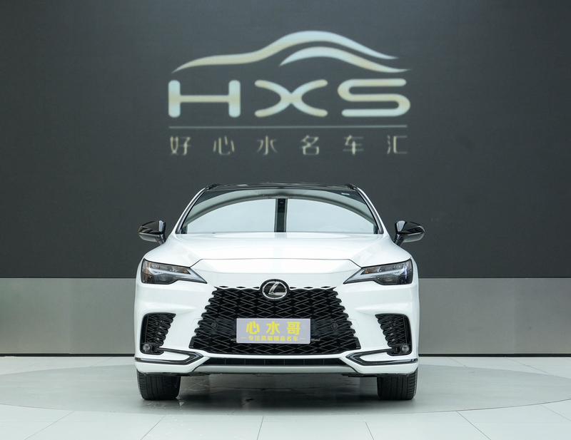 Lexus RX - фото 1