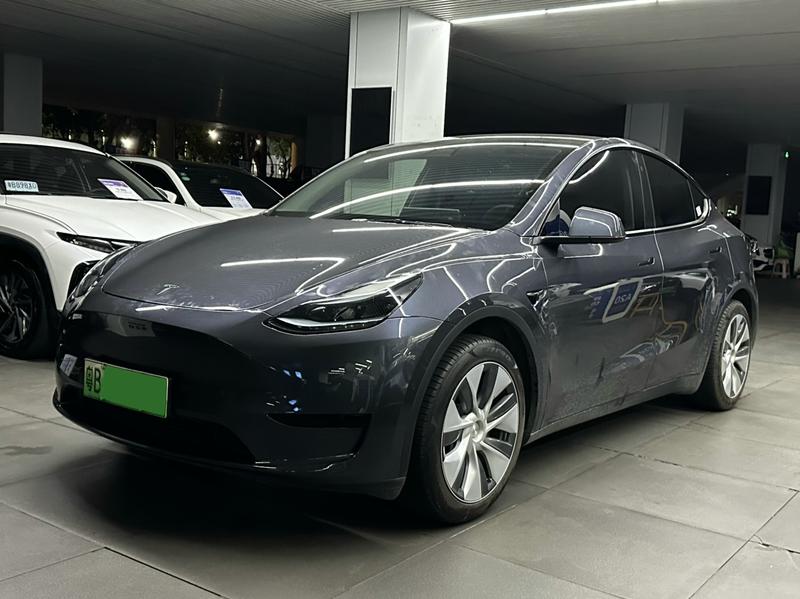 Tesla Model Y - фото 0