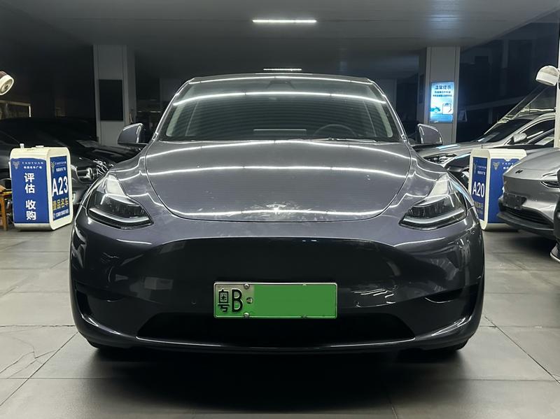 Tesla Model Y - фото 1