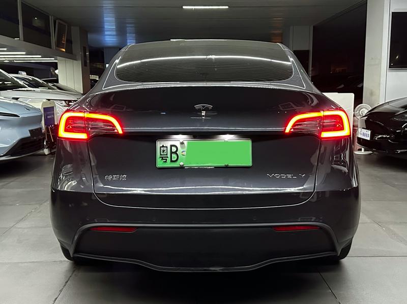Tesla Model Y - фото 4