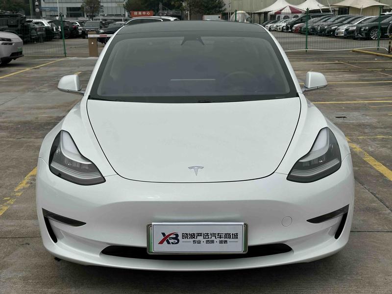 Tesla Model 3 (Import) - фото 1