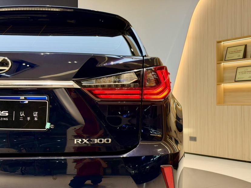Lexus RX - фото 4