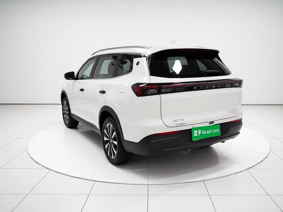 Chery Fengyun Fengyun T8 - фото 3