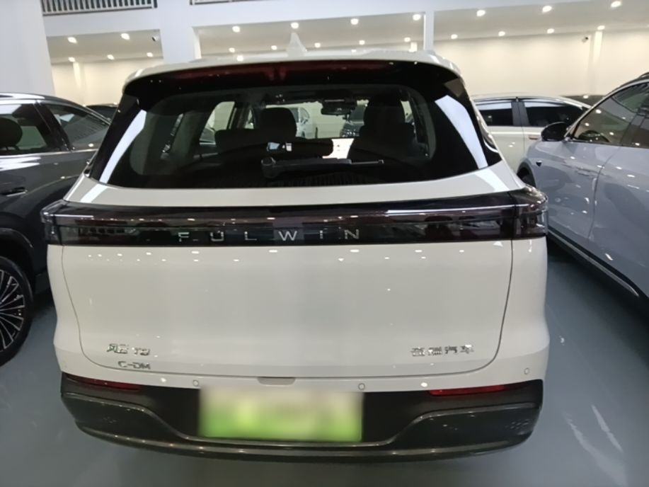 Chery Fengyun Fengyun T8 - фото 4
