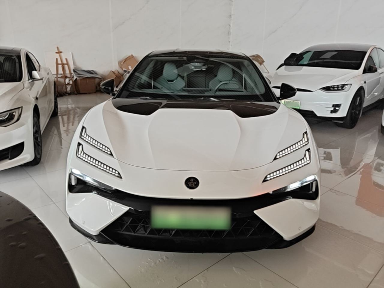 Lotus Emeya - фото 1