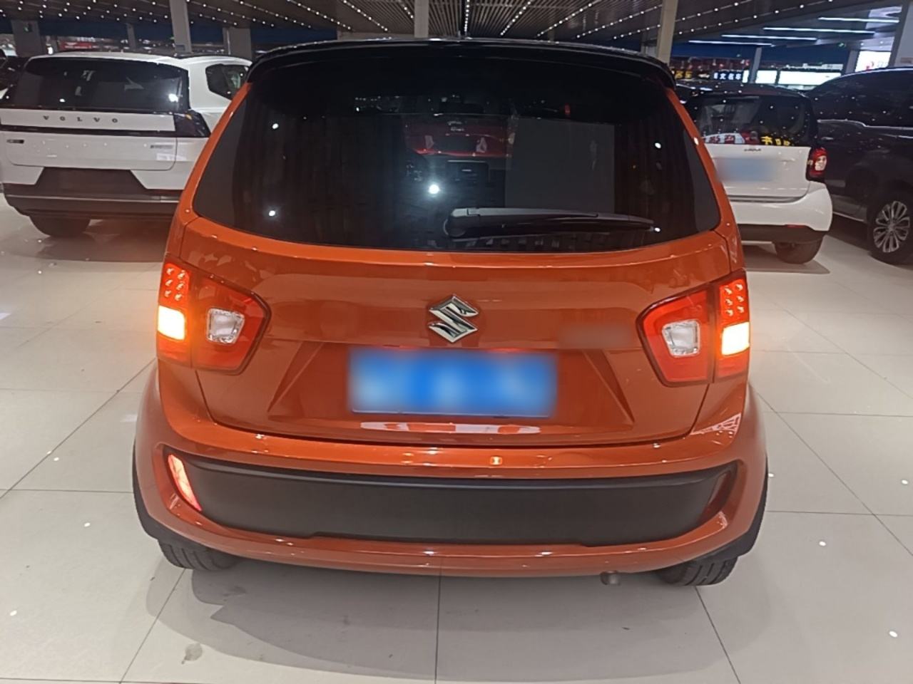 Suzuki Yinggenisi - фото 4
