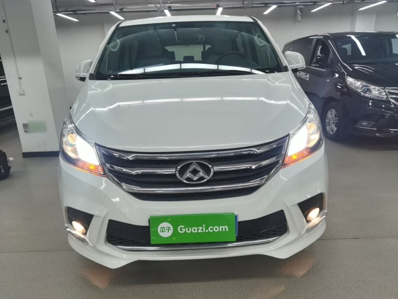 Maxus G10 - фото 1