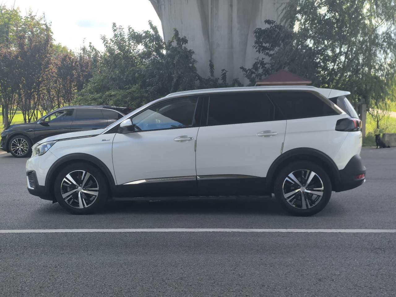 Peugeot 5008 - фото 3