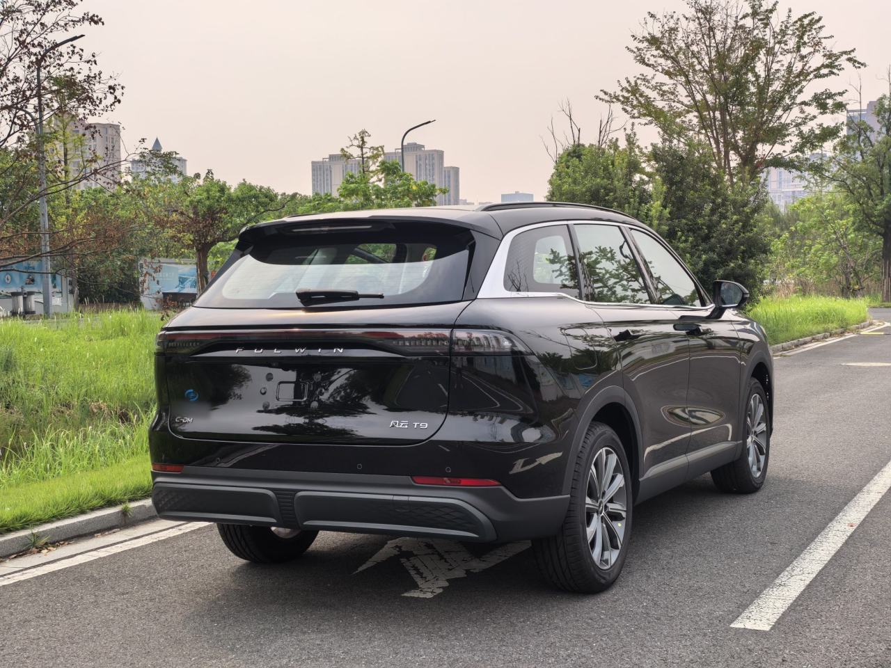 Chery Fengyun Fengyun T9 - фото 4