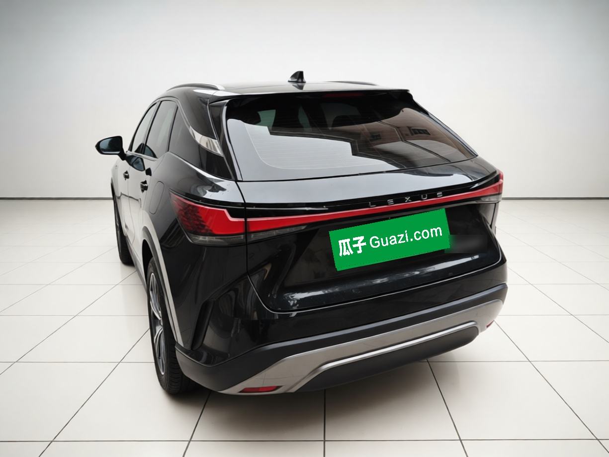 Lexus RX - фото 3
