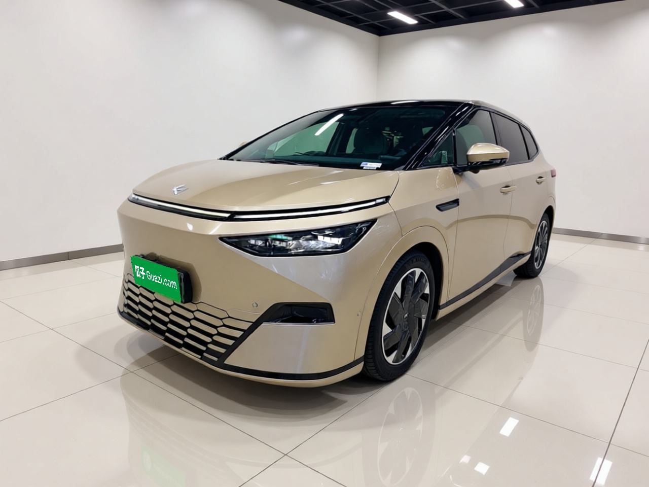 XPeng X9 - фото 0