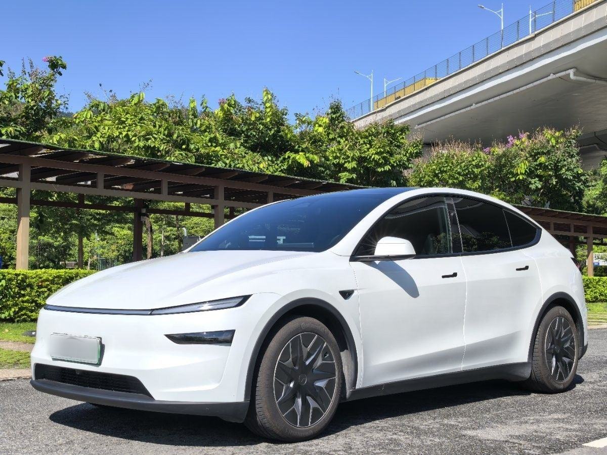Tesla Model Y L - фото 0