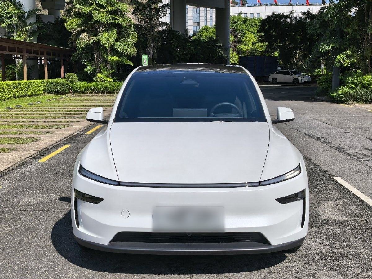 Tesla Model Y L - фото 1