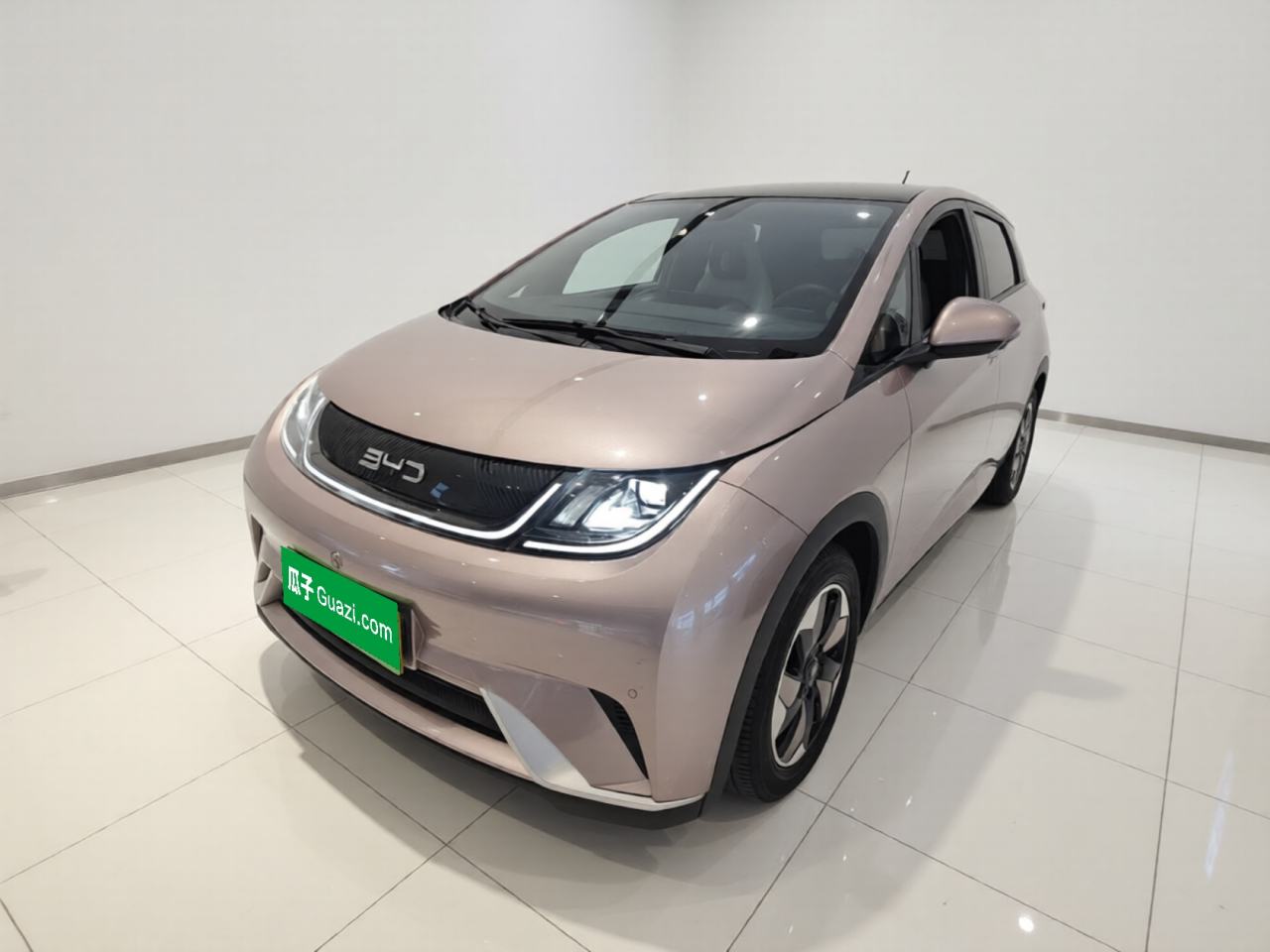 BYD Dolphin - фото 0