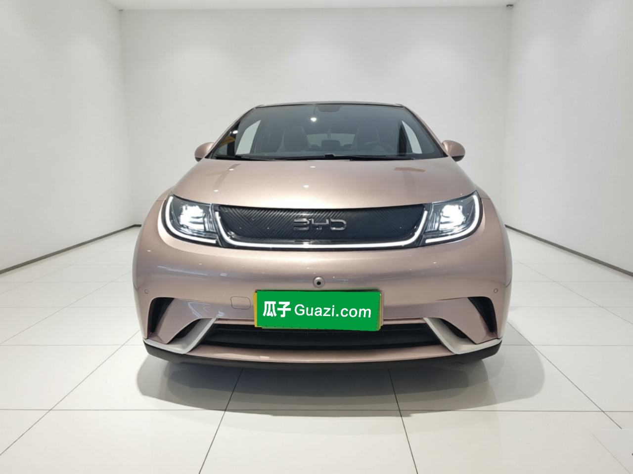 BYD Dolphin - фото 1