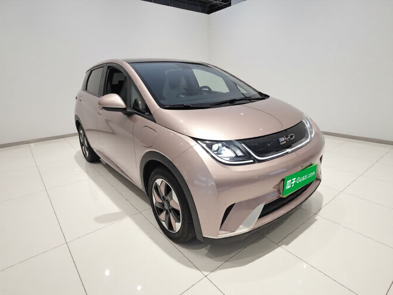 BYD Dolphin - фото 2