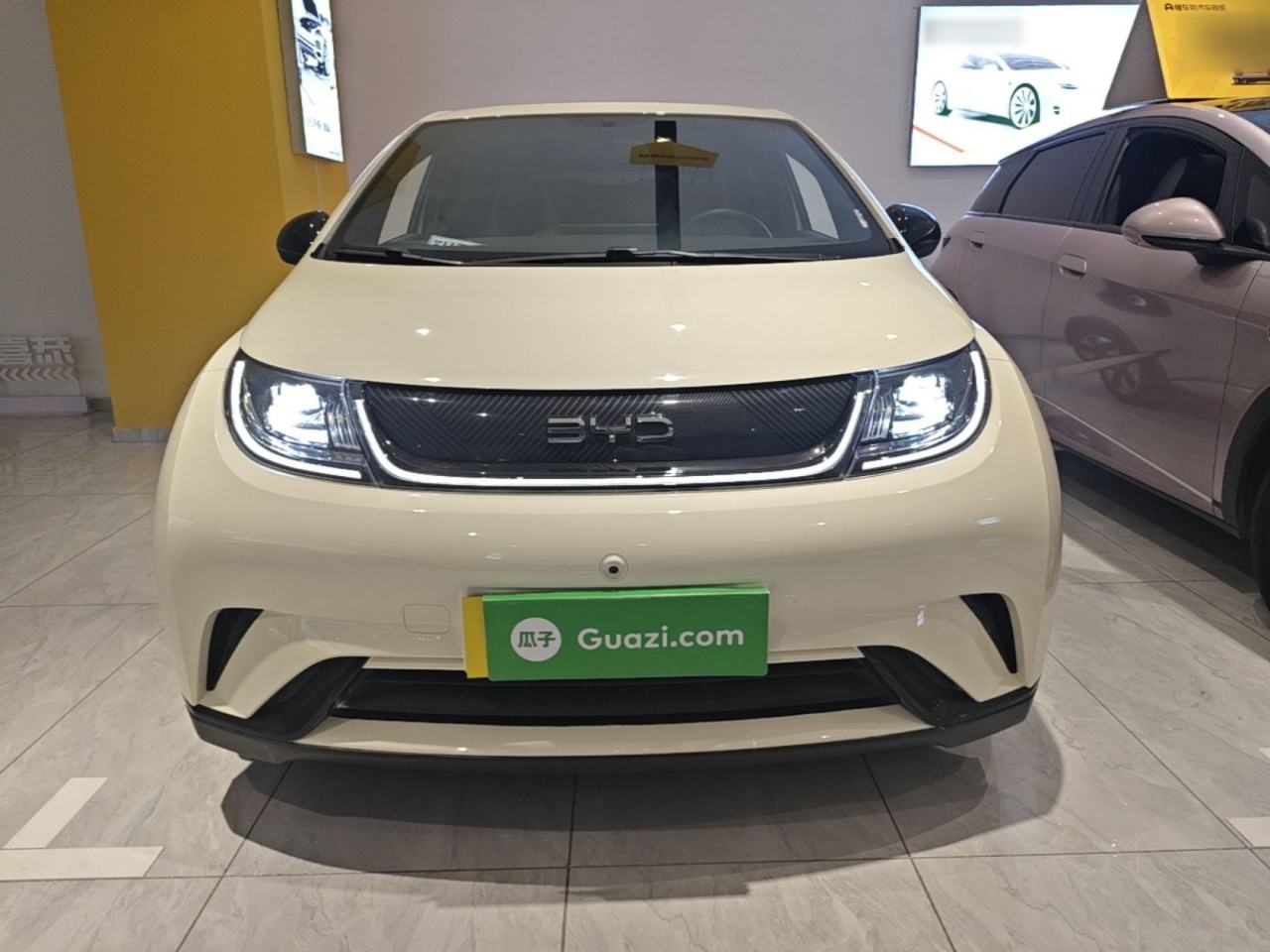 BYD Dolphin - фото 1